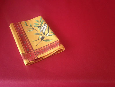 plain red coated tablecloth